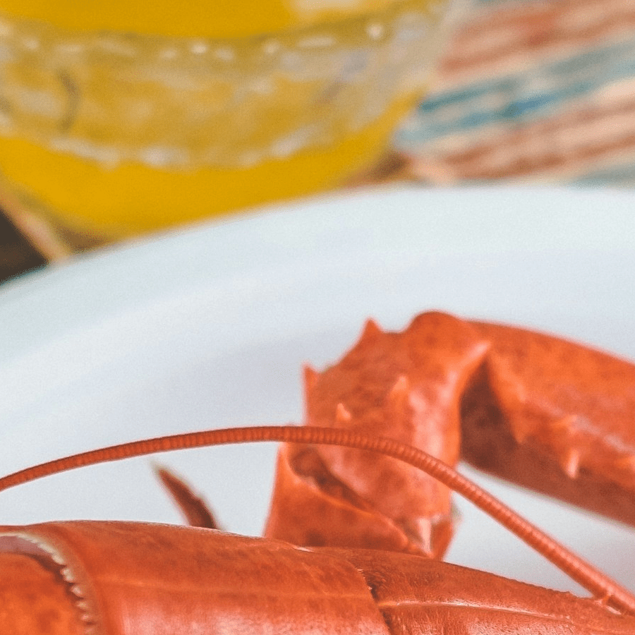 25% Off Dining in the Dark